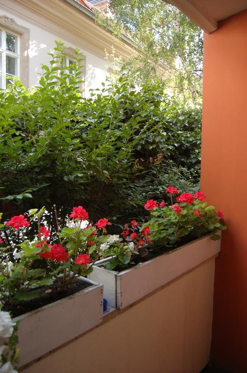 Buda Castle Apartments Budapesta Cameră foto