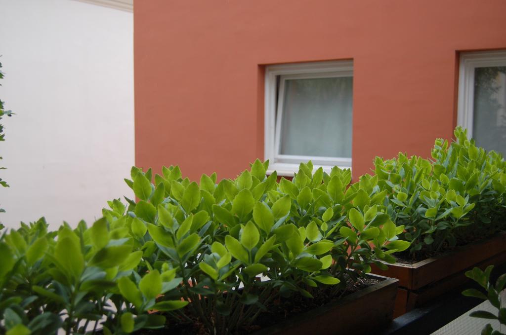 Buda Castle Apartments Budapesta Cameră foto